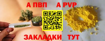 амф Новозыбков