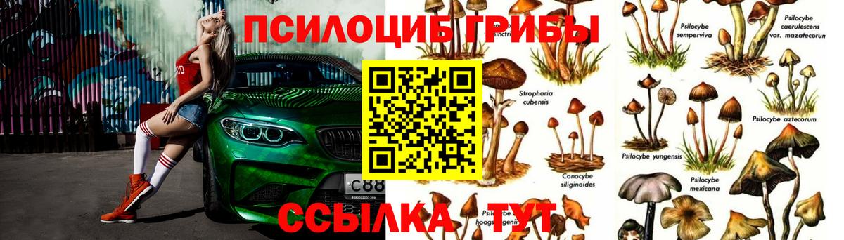 Псилоцибиновые грибы Psilocybine cubensis  Вход с VPN  Галлюциногенные грибы Magic Shrooms  Сургут 
